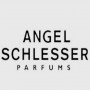 angel-schlesser-logo2
