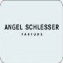 angel-schlesser-logo4